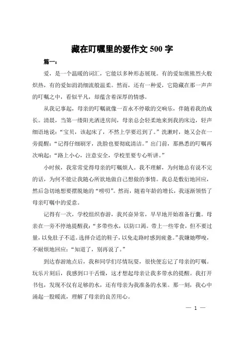 藏在叮嘱里的爱作文500字