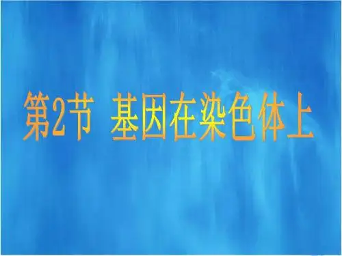 人教版教学课件江苏省南通市小海中学高一生物《第2节 基因在染色体上》课件