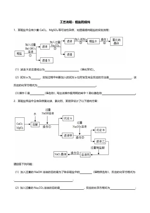 九年级化学中考专题复习：粗盐的提纯(拓展)