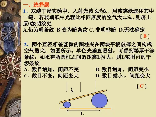 大学物理光学 光的干涉习题