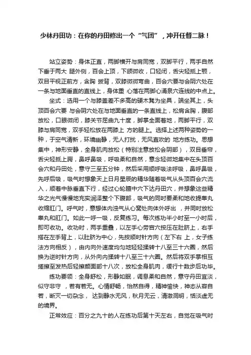少林丹田功：在你的丹田修出一个“气团”，冲开任督二脉！