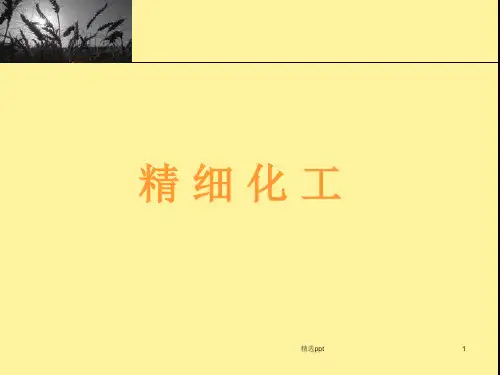 《精细化工》PPT课件 (2)