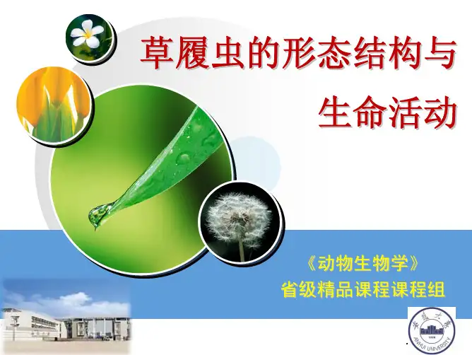 草履虫的形态结构与生命活动