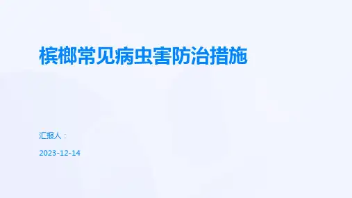 槟榔常见病虫害防治措施