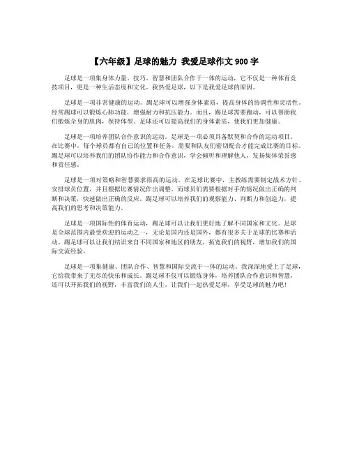 【六年级】足球的魅力 我爱足球作文900字