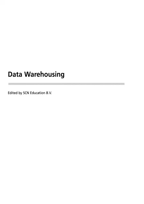 数据仓库（Data Warehousing）说明书