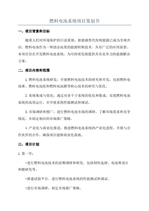 燃料电池系统项目策划书