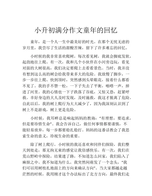 小升初满分作文童年的回忆