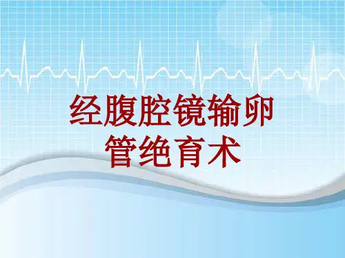 手术讲解模板：经腹腔镜输卵管绝育术