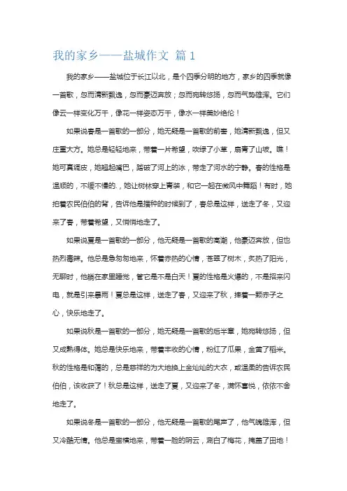 我的家乡盐城600字作文初一