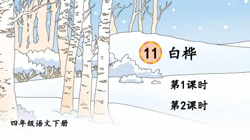 部编版四年级语文下册第11课《白桦》精美课件【最新】