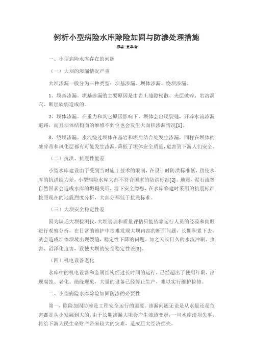 例析小型病险水库除险加固与防渗处理措施