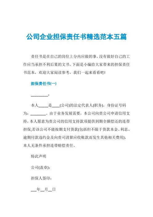 公司企业担保责任书精选范本五篇