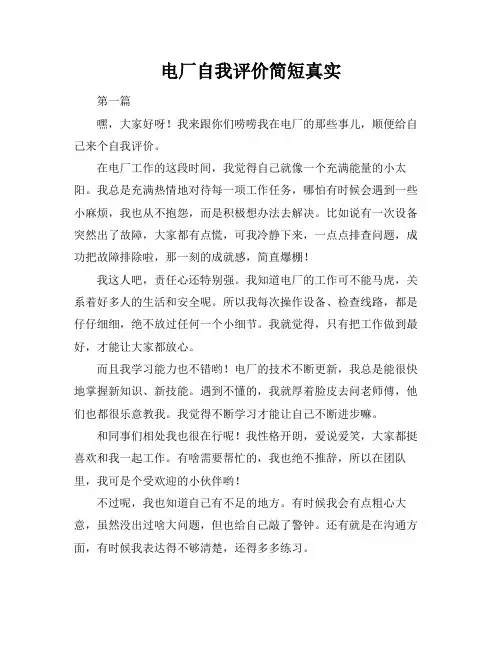 电厂自我评价简短真实