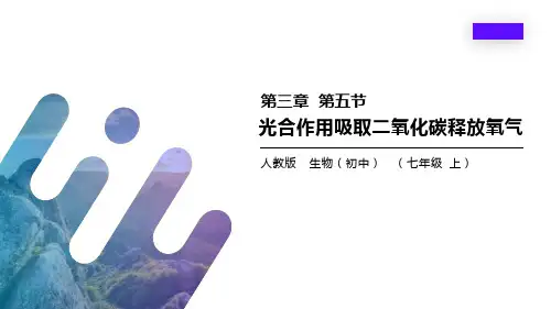 人教版生物七年级上册：绿色植物与生物圈中的碳—氧平衡课件