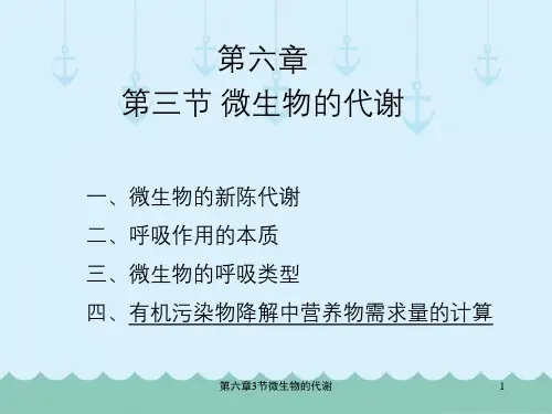 第六章3节微生物的代谢