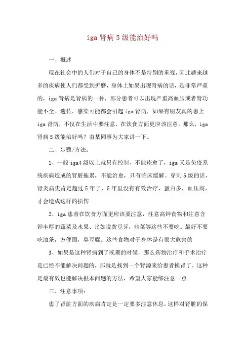 iga肾病5级能治好吗