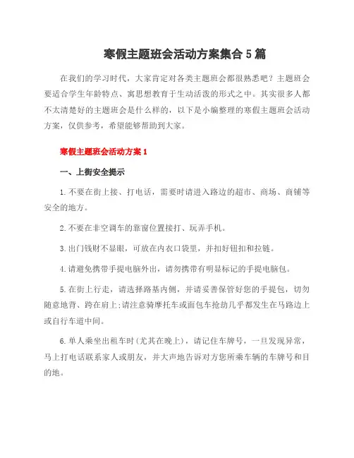 寒假主题班会活动方案集合5篇