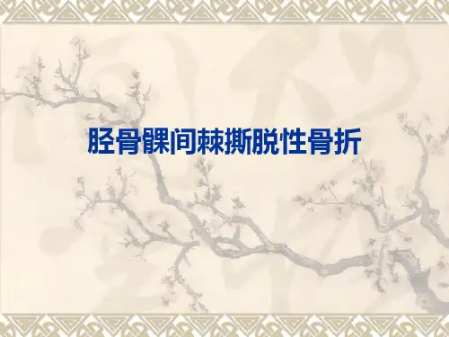10胫骨髁间棘骨折