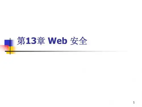 13 Web 安全