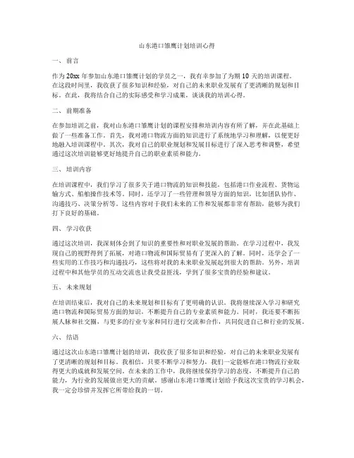 山东港口雏鹰计划培训心得