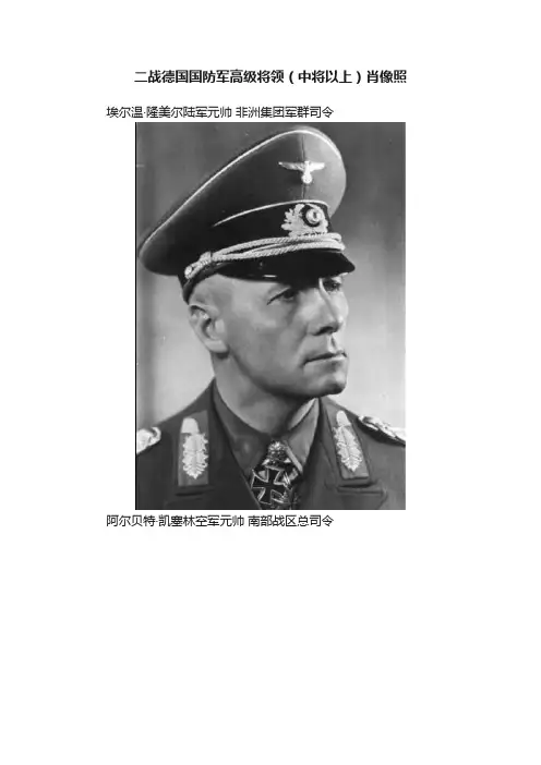 二战德国国防军高级将领（中将以上）肖像照
