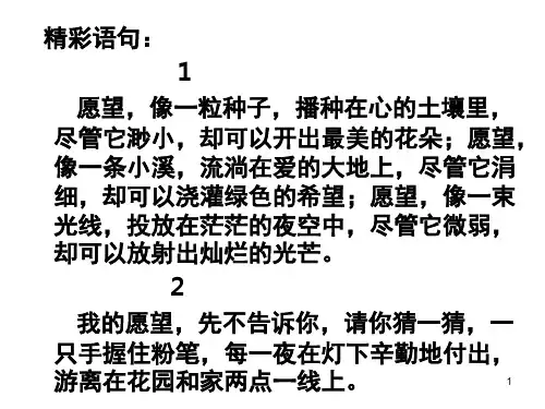 我的愿望-作文讲评-PPT