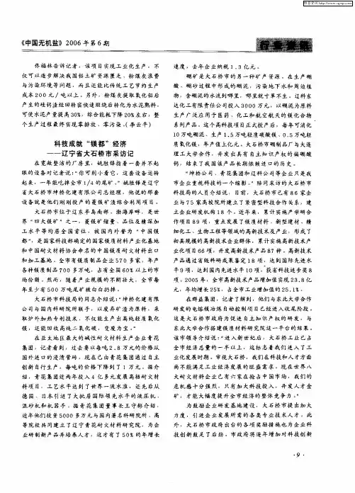 科技成就“镁都”经济——辽宁省大石桥市采访记