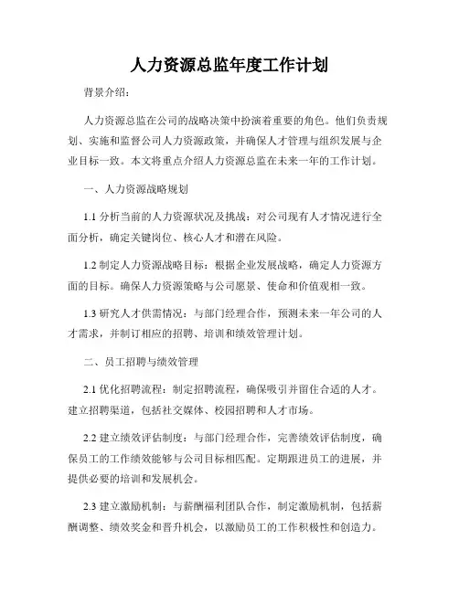 人力资源总监年度工作计划