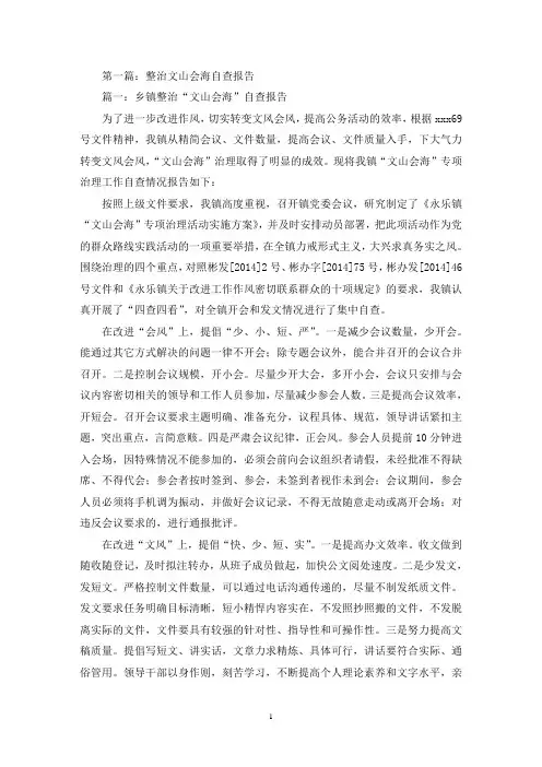 整治文山会海自查报告(最新)