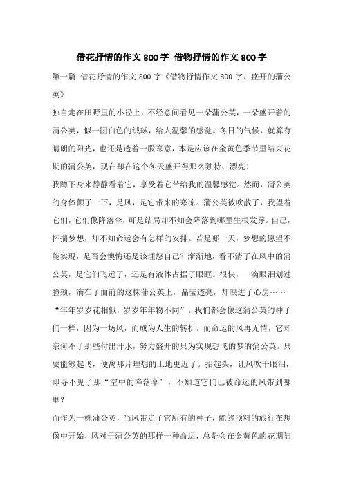借花抒情的作文800字 借物抒情的作文800字
