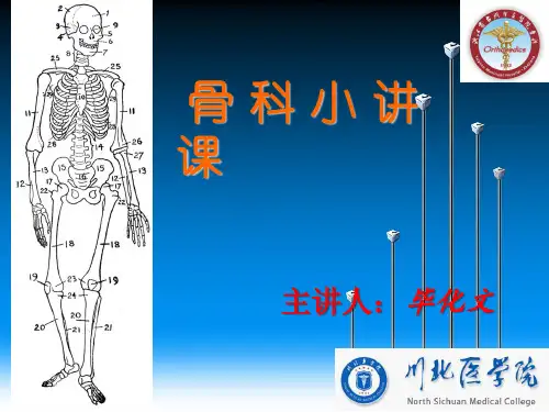 骨科小讲课