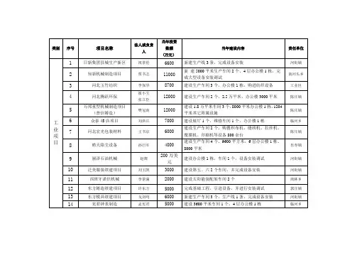 项目名称