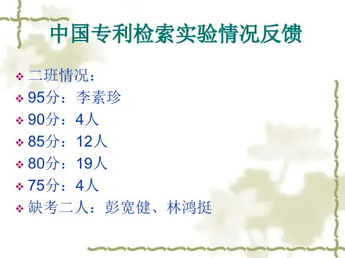 吴雨辉《知识产权信息利用》第十一次课 第八章分类号检索