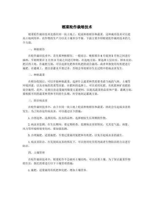 稻菜轮作栽培技术