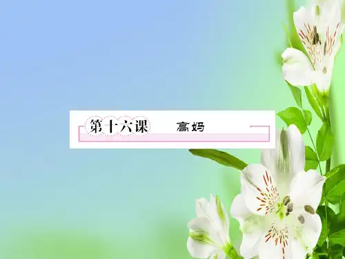 人教版高中语文选修二中国小说欣赏第十六课高妈新课件
