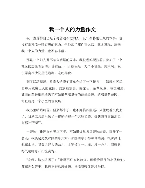 我一个人的力量作文