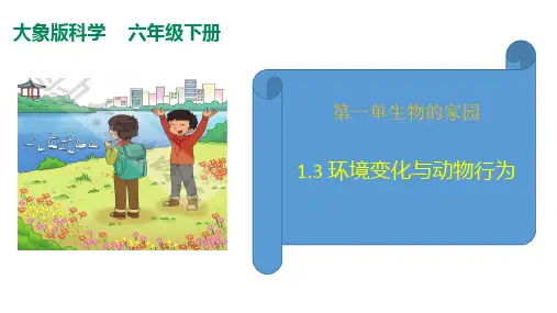 1.3环境变化与动物行为课件(33张PPT+素材)