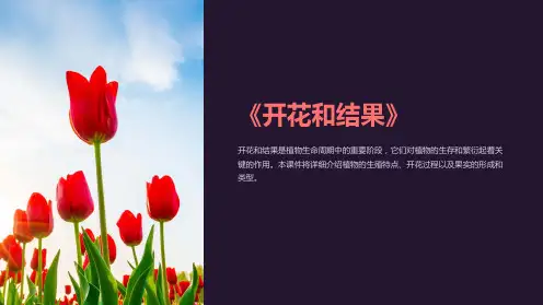 《开花和结果》课件