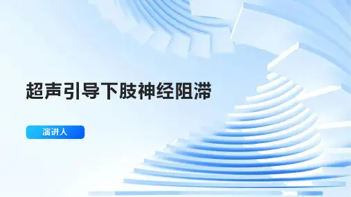 超声引导下肢神经阻滞