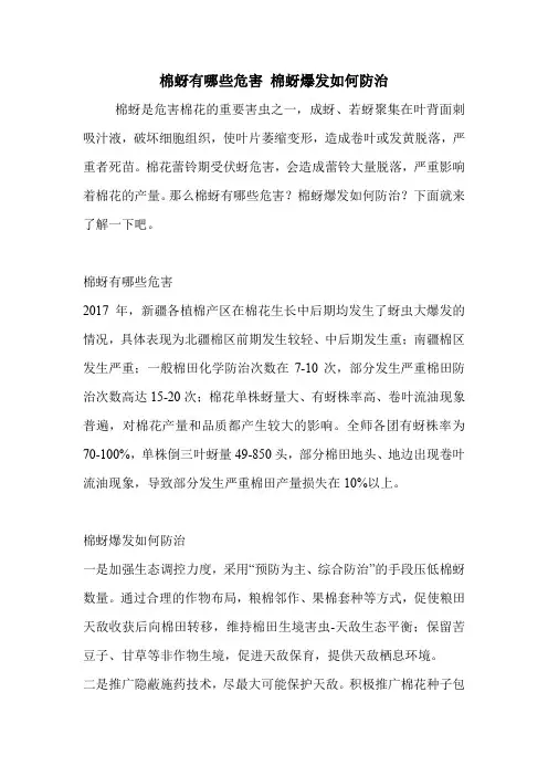 棉蚜有哪些危害 棉蚜爆发如何防治.doc