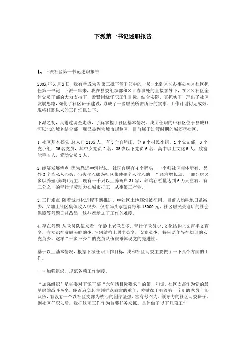 下派第一书记述职报告