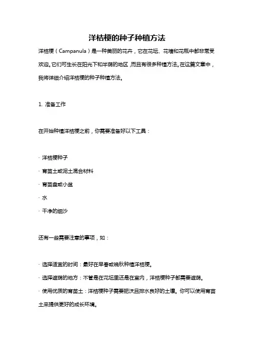 洋桔梗的种子种植方法