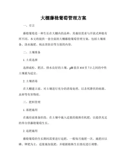 大棚藤稔葡萄管理方案