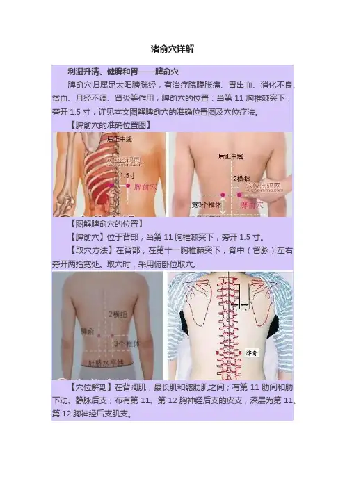 诸俞穴详解