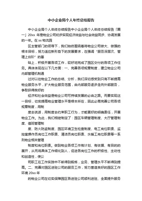 中小企业局个人年终总结报告