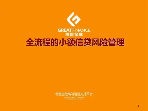 全流程的小额信贷风险管理PPT课件