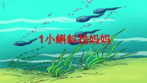 最新部编人教版二年级语文上册《小蝌蚪找妈妈》优质课件