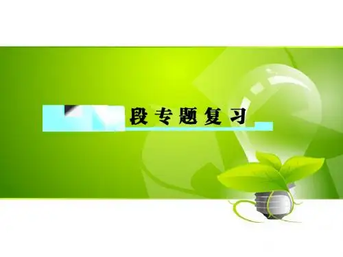 人教新目标九年级英语Unit6阶段复习语法与写作专题课件