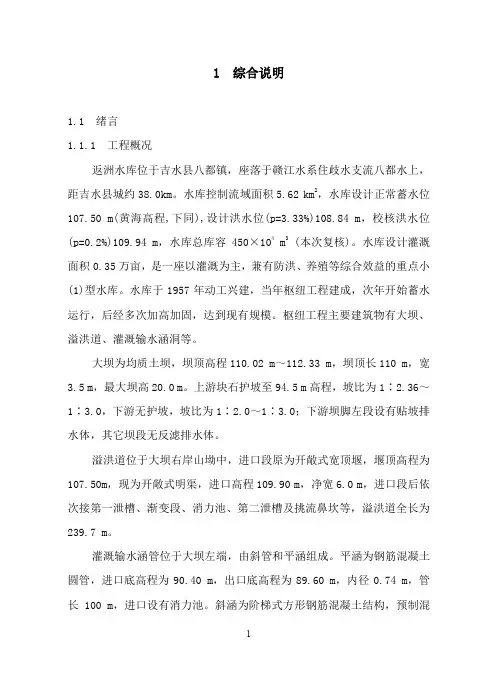 某水库除险加固初步设计报告